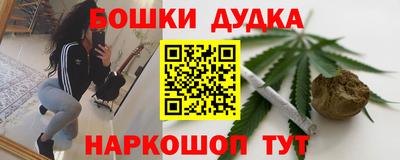 индика Тула