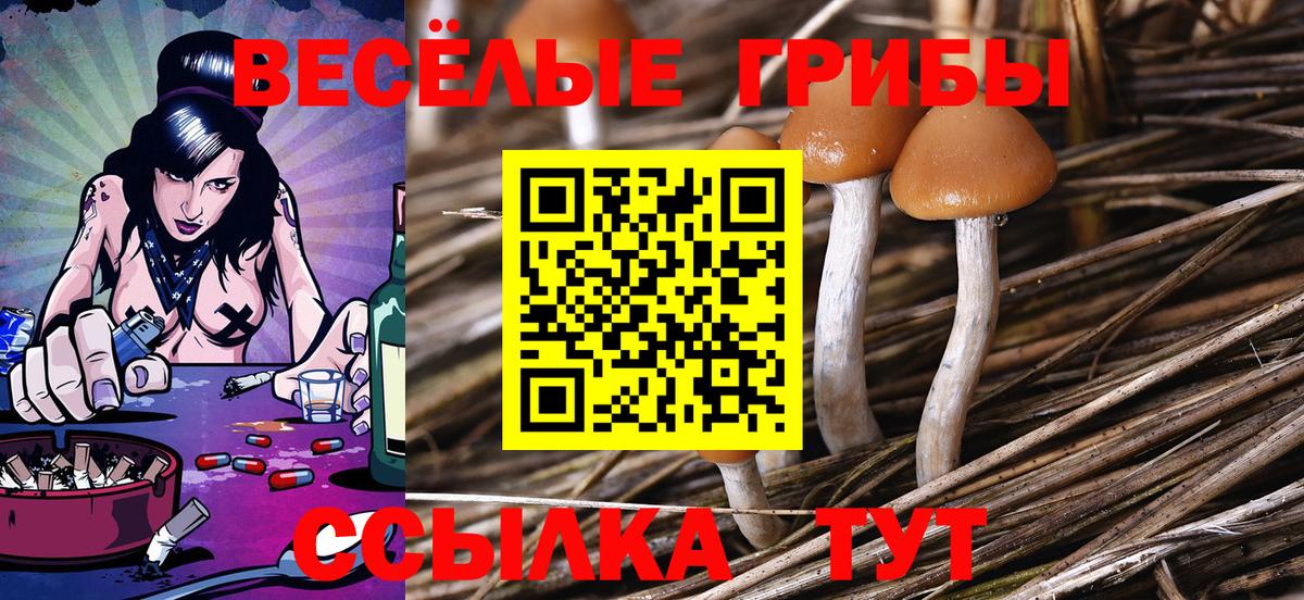 Галлюциногенные грибы прущие грибы Лангепас